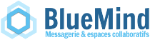 logo bluemind